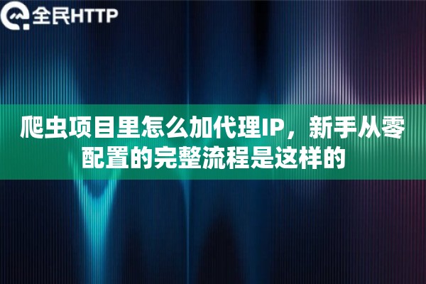 爬虫项目里怎么加代理IP，新手从零配置的完整流程是这样的