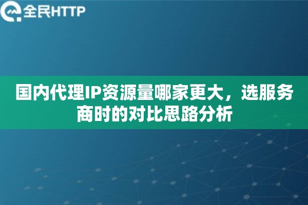 国内代理IP资源量哪家更大，选服务商时的对比思路分析