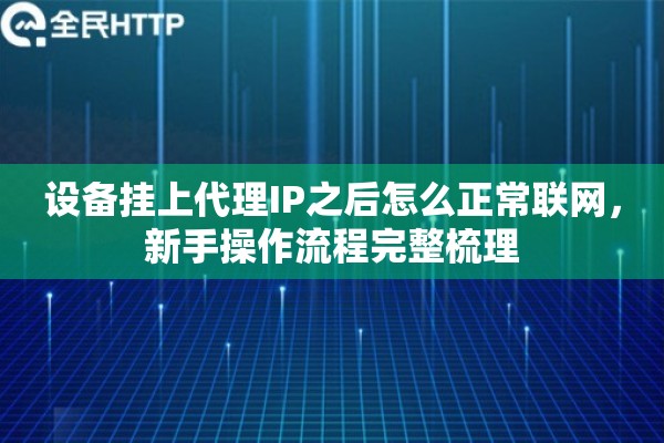 设备挂上代理IP之后怎么正常联网，新手操作流程完整梳理