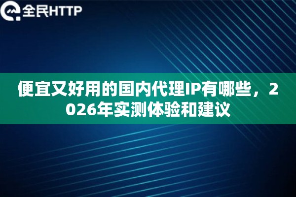 便宜又好用的国内代理IP有哪些，2026年实测体验和建议