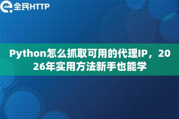 Python怎么抓取可用的代理IP，2026年实用方法新手也能学