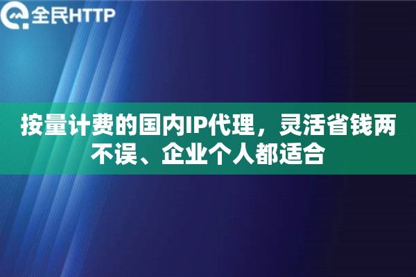 按量计费的国内IP代理，灵活省钱两不误、企业个人都适合