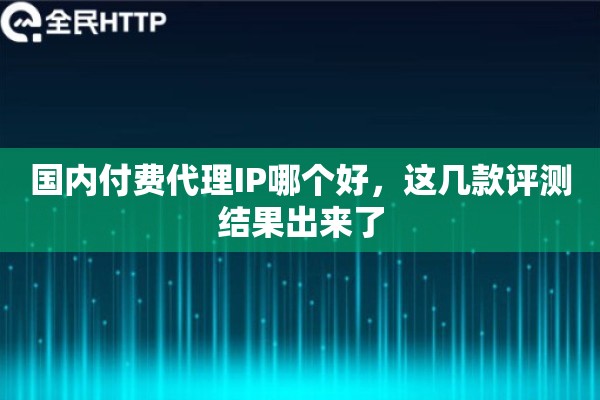 国内付费代理IP哪个好，这几款评测结果出来了