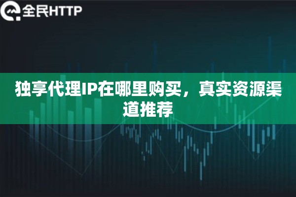 独享代理IP在哪里购买，真实资源渠道推荐