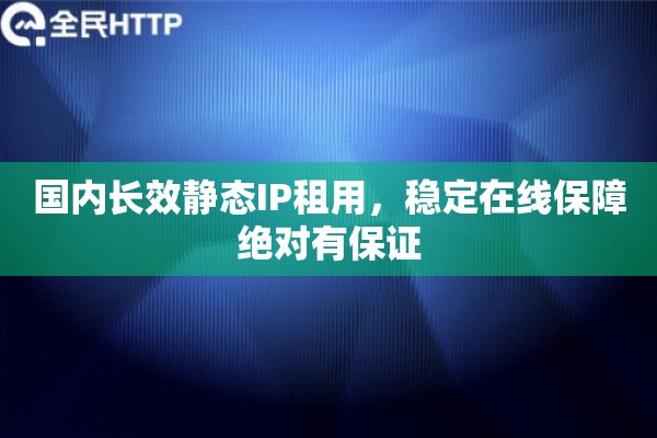 国内长效静态IP租用，稳定在线保障绝对有保证