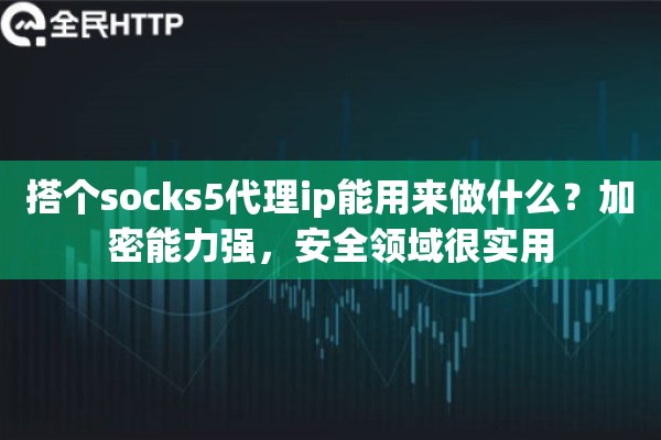 搭个socks5代理ip能用来做什么？加密能力强，安全领域很实用