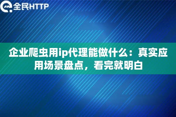 企业爬虫用ip代理能做什么：真实应用场景盘点，看完就明白