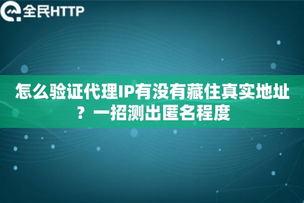 怎么验证代理IP有没有藏住真实地址？一招测出匿名程度