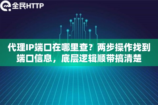 代理IP端口在哪里查?两步操作找到端口信息,底层逻辑顺带搞清楚 代理IP端口在哪里查?两步操作找到端口信息,底层逻辑顺带搞清楚