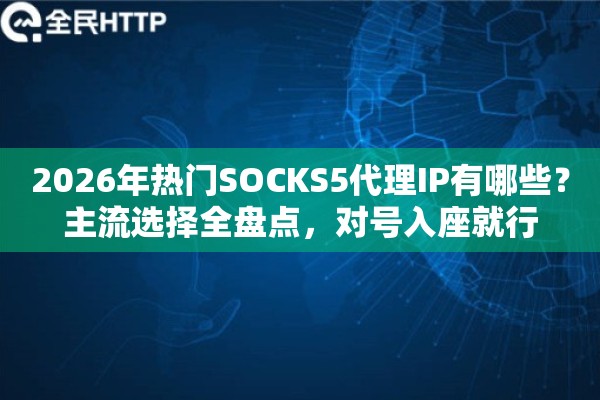 2026年热门SOCKS5代理IP有哪些？主流选择全盘点，对号入座就行