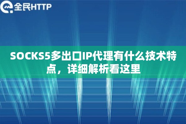 SOCKS5多出口IP代理有什么技术特点，详细解析看这里