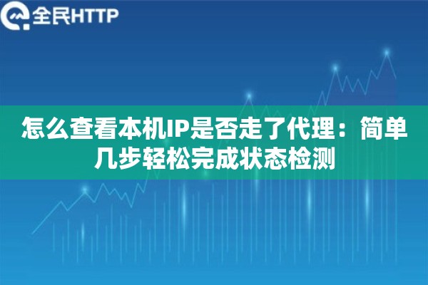 怎么查看本机IP是否走了代理：简单几步轻松完成状态检测