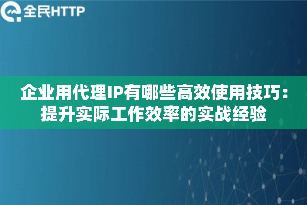 企业用代理IP有哪些高效使用技巧：提升实际工作效率的实战经验