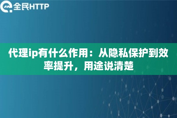 代理ip有什么作用：从隐私保护到效率提升，用途说清楚