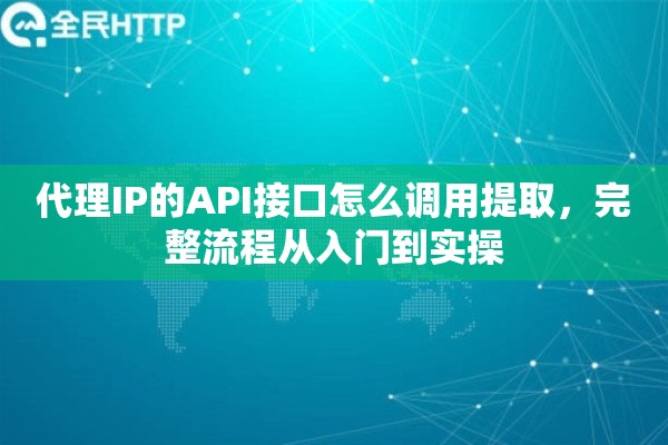 代理IP的API接口怎么调用提取，完整流程从入门到实操