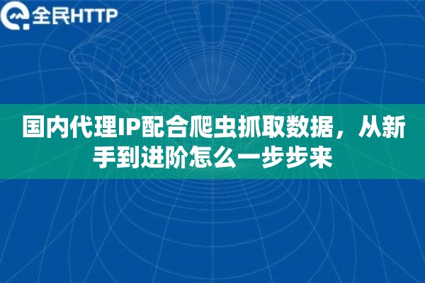 国内代理IP配合爬虫抓取数据，从新手到进阶怎么一步步来