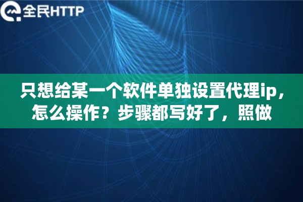 只想给某一个软件单独设置代理ip，怎么操作？步骤都写好了，照做
