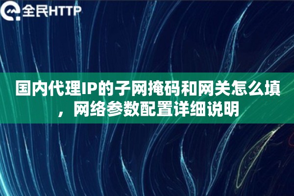 国内代理IP的子网掩码和网关怎么填,网络参数配置详细说明 国内代理IP的子网掩码和网关怎么填,网络参数配置详细说明