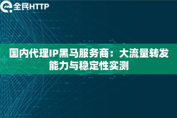 国内代理IP黑马服务商:大流量转发能力与稳定性实测 国内代理IP黑马服务商:大流量转发能力与稳定性实测