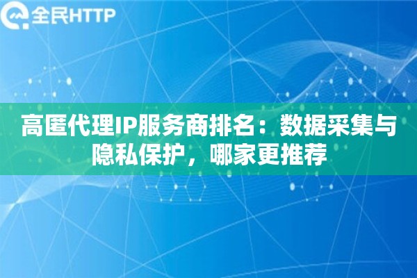 高匿代理IP服务商排名：数据采集与隐私保护，哪家更推荐