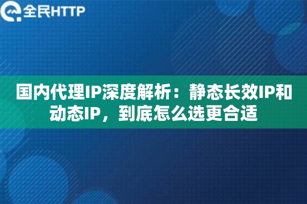 国内代理IP深度解析：静态长效IP和动态IP，到底怎么选更合适
