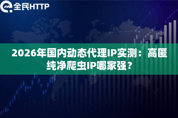 2026年国内动态代理IP实测：高匿纯净爬虫IP哪家强？