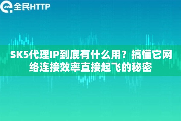 SK5代理IP到底有什么用？搞懂它网络连接效率直接起飞的秘密