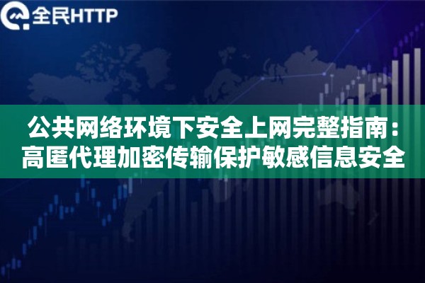 公共网络环境下安全上网完整指南：高匿代理加密传输保护敏感信息安全