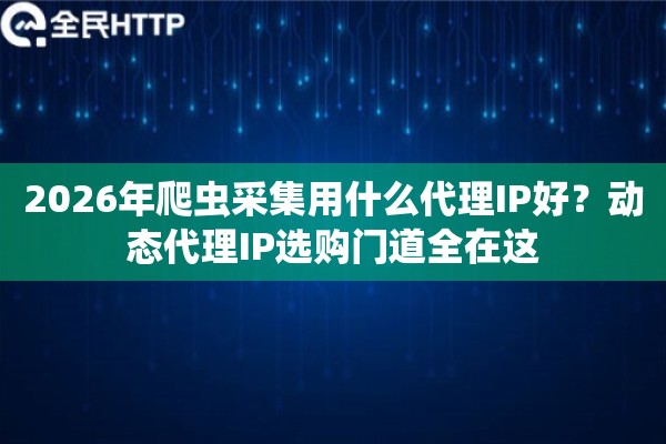 2026年爬虫采集用什么代理IP好？动态代理IP选购门道全在这