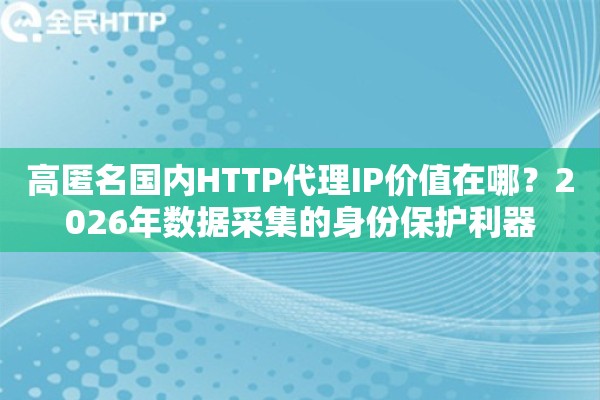 高匿名国内HTTP代理IP价值在哪？2026年数据采集的身份保护利器