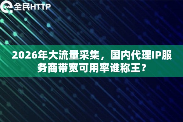 2026年大流量采集，国内代理IP服务商带宽可用率谁称王？