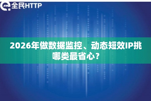 2026年做数据监控、动态短效IP挑哪类最省心？