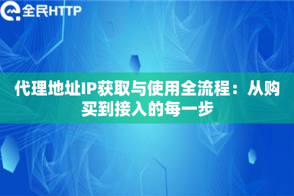 代理地址IP获取与使用全流程：从购买到接入的每一步