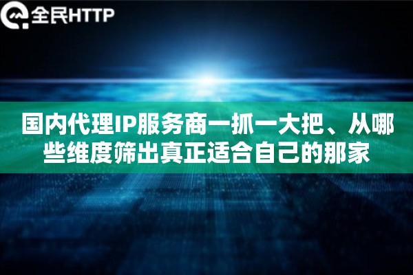 国内代理IP服务商一抓一大把、从哪些维度筛出真正适合自己的那家