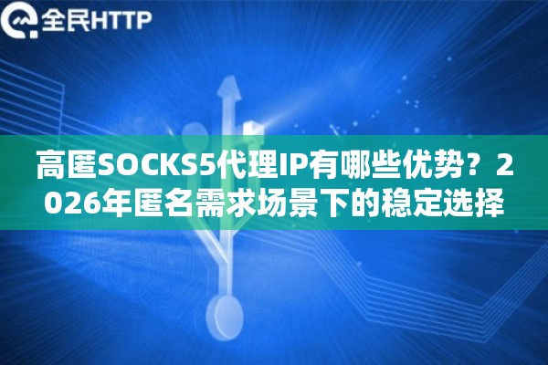 高匿SOCKS5代理IP有哪些优势？2026年匿名需求场景下的稳定选择