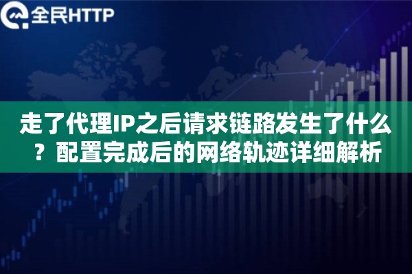 走了代理IP之后请求链路发生了什么？配置完成后的网络轨迹详细解析