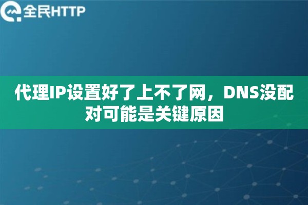 代理IP设置好了上不了网,DNS没配对可能是关键原因 代理IP设置好了上不了网,DNS没配对可能是关键原因