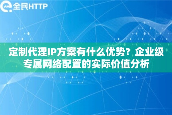 定制代理IP方案有什么优势？企业级专属网络配置的实际价值分析