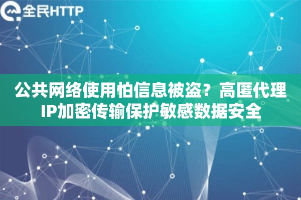 公共网络使用怕信息被盗？高匿代理IP加密传输保护敏感数据安全