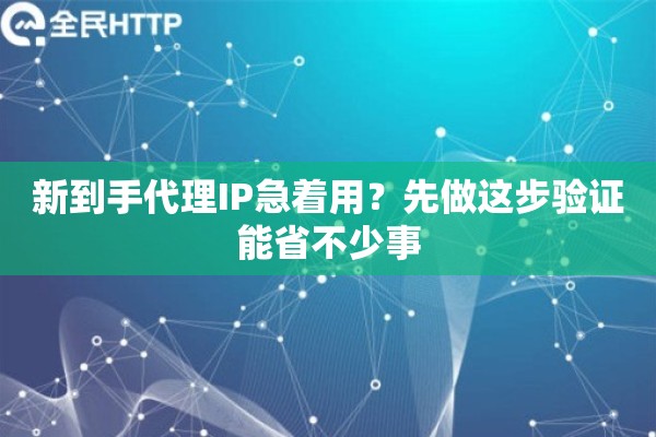 新到手代理IP急着用?先做这步验证能省不少事 新到手代理IP急着用?先做这步验证能省不少事