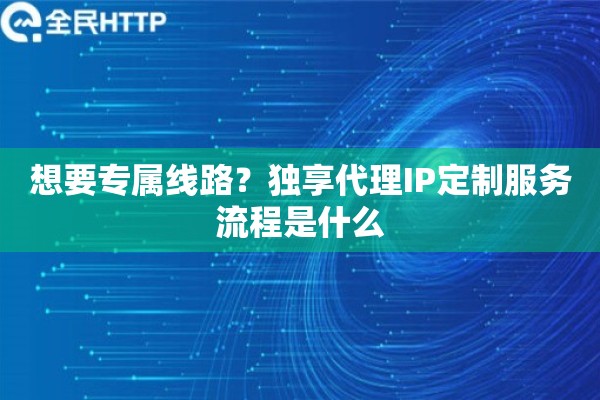 想要专属线路？独享代理IP定制服务流程是什么