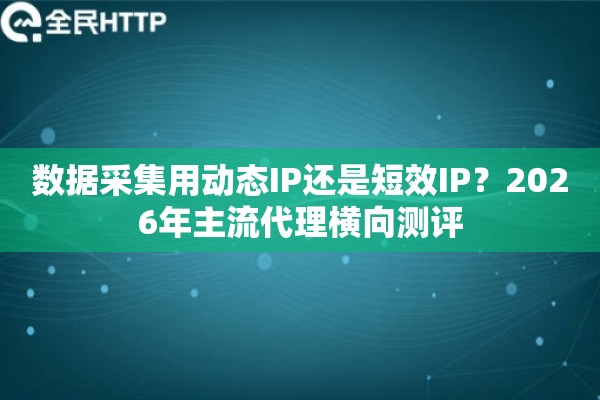 数据采集用动态IP还是短效IP？2026年主流代理横向测评