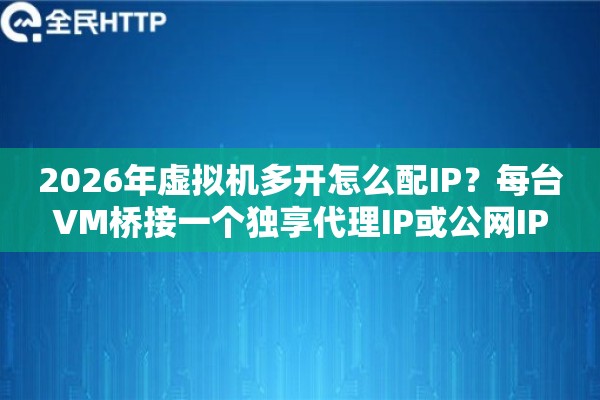 2026年虚拟机多开怎么配IP？每台VM桥接一个独享代理IP或公网IP