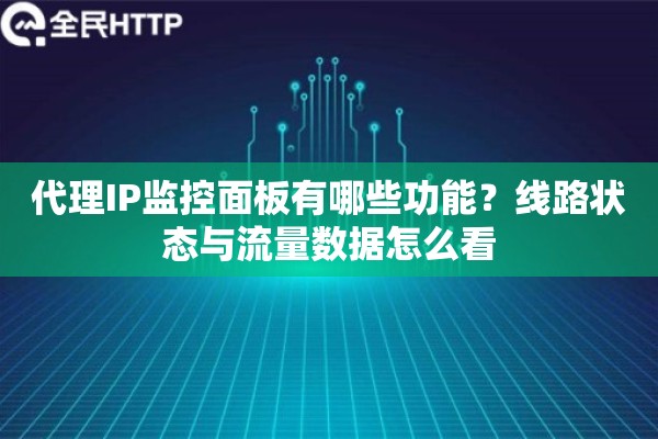 代理IP监控面板有哪些功能？线路状态与流量数据怎么看