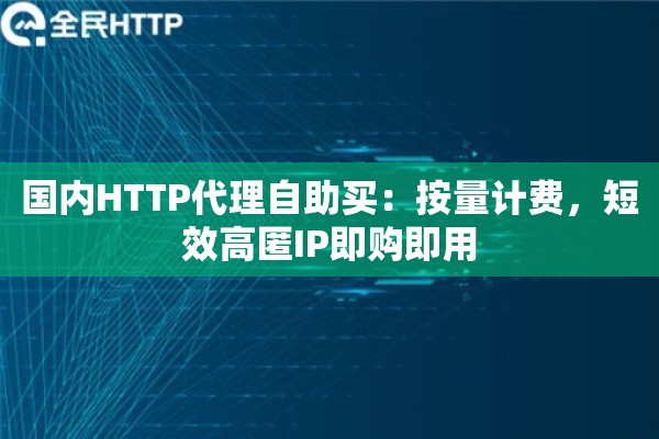 国内HTTP代理自助买：按量计费，短效高匿IP即购即用