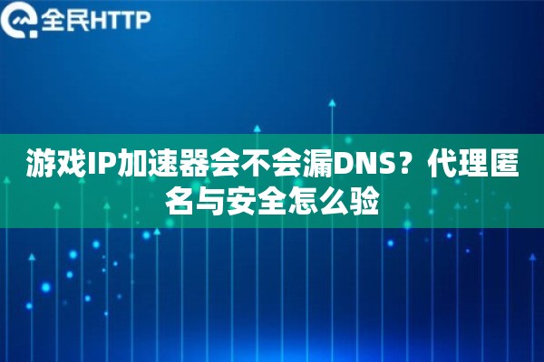 游戏IP加速器会不会漏DNS？代理匿名与安全怎么验