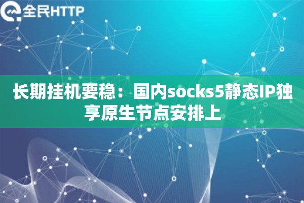 长期挂机要稳：国内socks5静态IP独享原生节点安排上