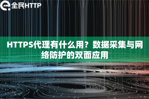 HTTPS代理有什么用?数据采集与网络防护的双面应用 HTTPS代理有什么用?数据采集与网络防护的双面应用