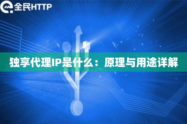 独享代理IP是什么：原理与用途详解