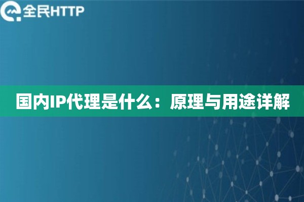 国内IP代理是什么：原理与用途详解